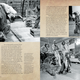 Image for article titled A Look Inside the Definitive Book on Bringing The Dark Crystal to Life